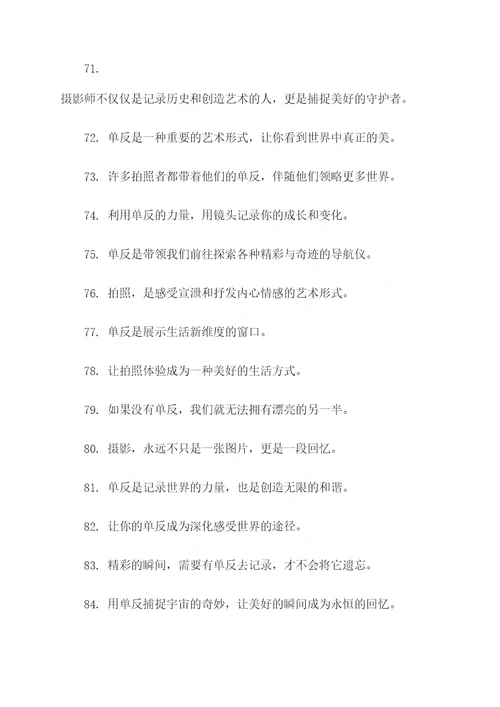 关于单反的俗语或谚语