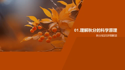 秋分之谜科学探索