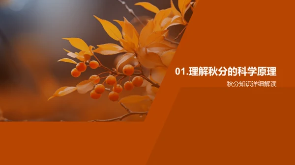 秋分之谜科学探索