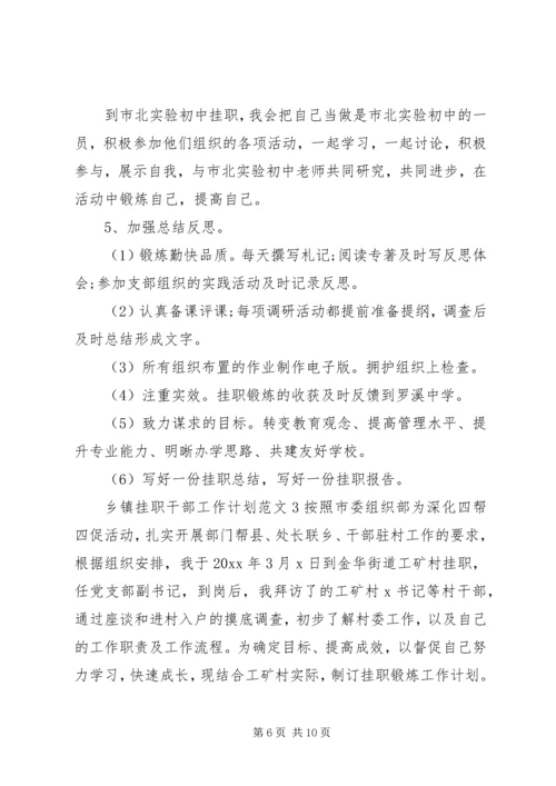 乡镇挂职干部工作计划.docx