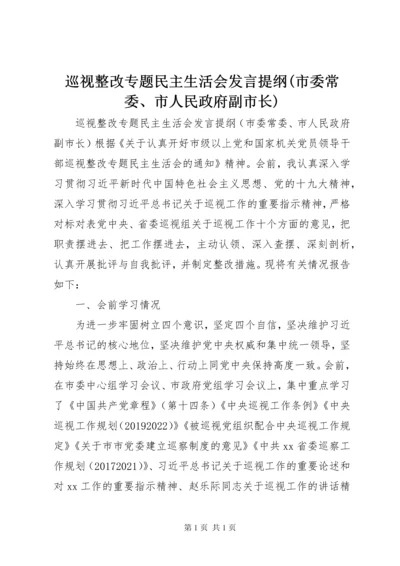 巡视整改专题民主生活会发言提纲(市委常委、市人民政府副市长).docx