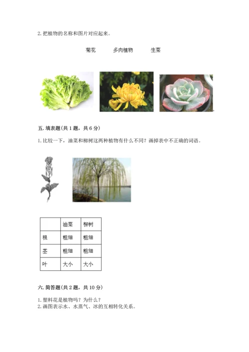 教科版科学一年级上册第一单元《植物》测试卷（夺冠系列）.docx