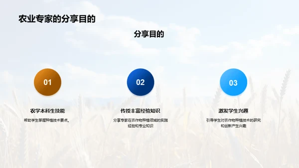 农业种植：智慧之选