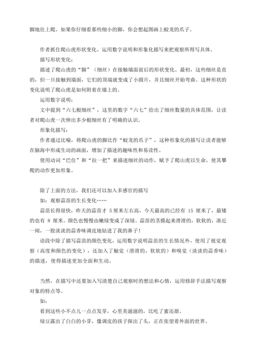 -统编版2024-2025学年语文四年级上册第三单元习作指导 写观察日记（讲稿）