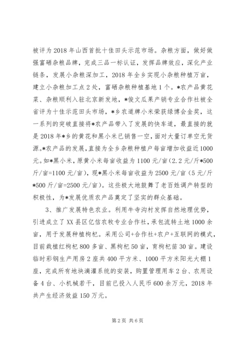 乡镇某年亮点工作总结精选范文.docx