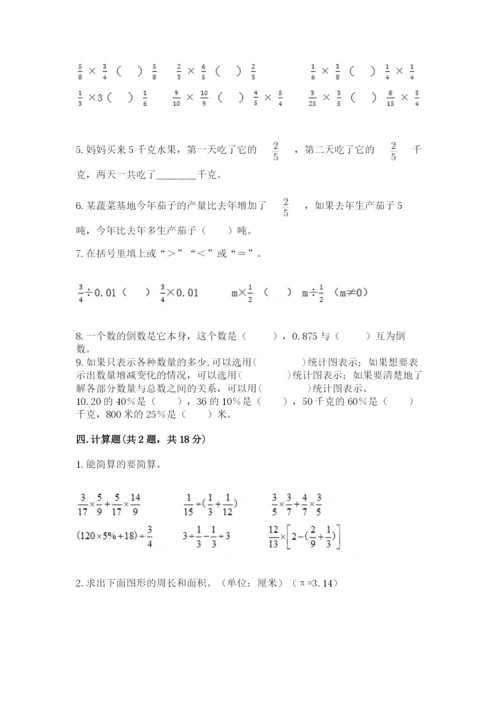 人教版六年级上册数学期末测试卷（典优）word版.docx