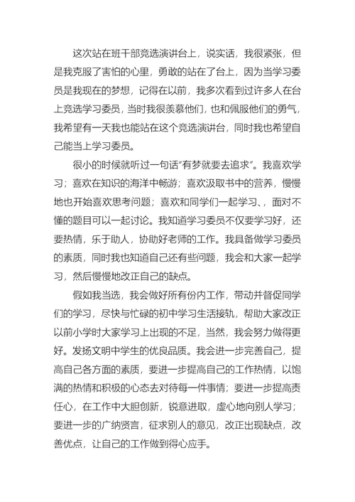 关于竞聘学习委员的演讲稿范文汇总六篇