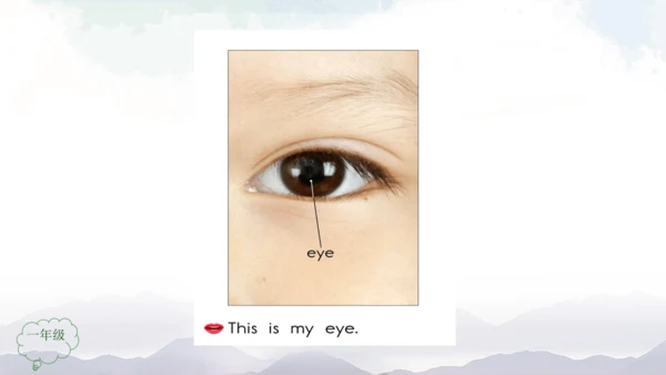 Unit 2 Face Lesson 3 课件共32张PPT)