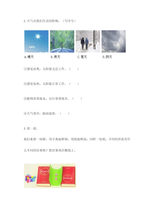 教科版小学二年级上册科学期末测试卷（综合题）.docx