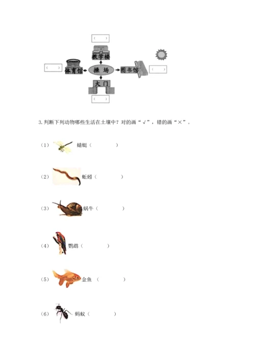 教科版二年级上册科学期末测试卷精品（基础题）.docx