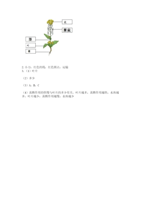 科学四年级下册第一单元《植物的生长变化》测试卷（轻巧夺冠）.docx