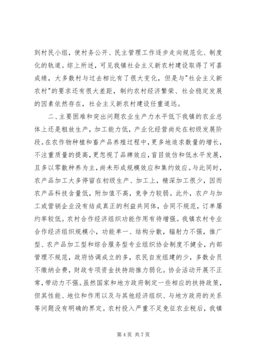乡镇社会主义新农村建设调研报告.docx