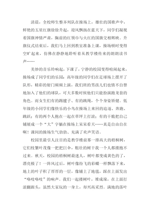 关于初中校园生活的作文.docx