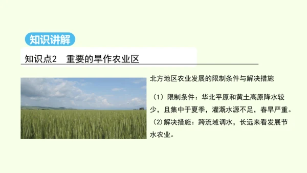 6.1 自然特征与农业（课件36张）-人教版地理八年级下册