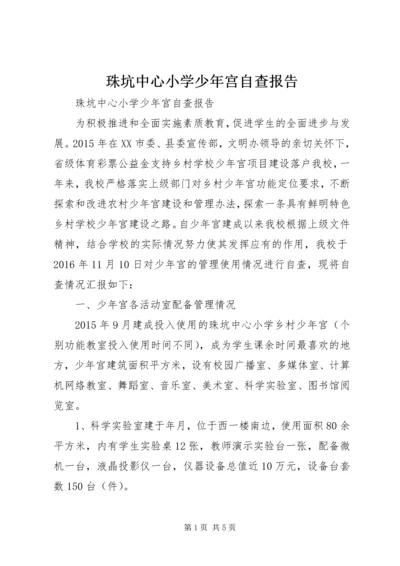 珠坑中心小学少年宫自查报告.docx