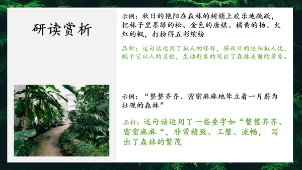 地下森林作家张抗抗作品解读PPT课件