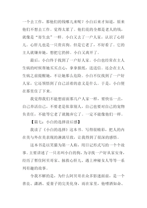 小白的选择读后感作文.docx