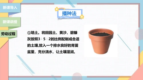 【北师大版】二年级《劳动实践指导手册》第11课《一起来种太阳花》课件