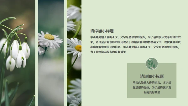 绿色小花工作计划通用PPT模板