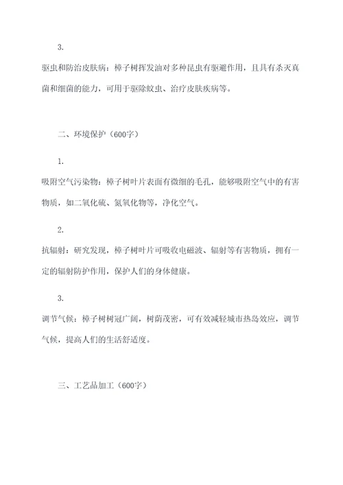 樟子树的作用和功效