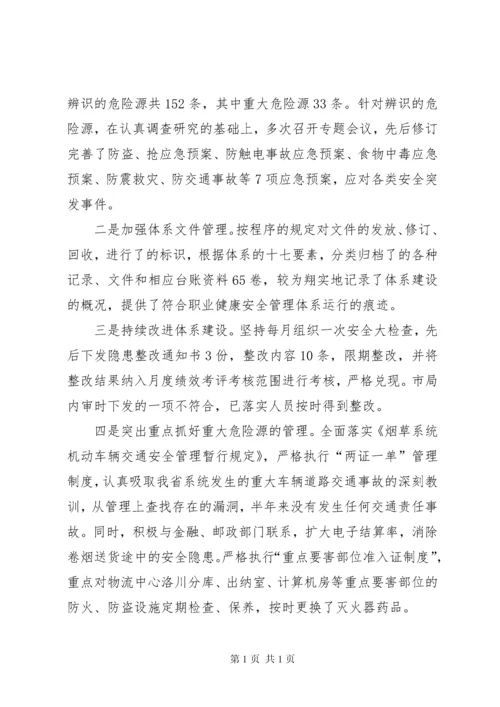 安全生产管理体系建立运行情况汇报 (3).docx