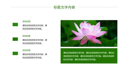 绿色唯美荷花廉政工作总结汇报PPT模板