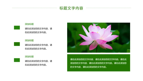 绿色唯美荷花廉政工作总结汇报PPT模板