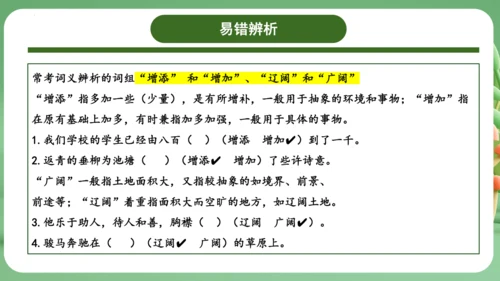 统编版2024三年级语文上册第二单元复习   课件