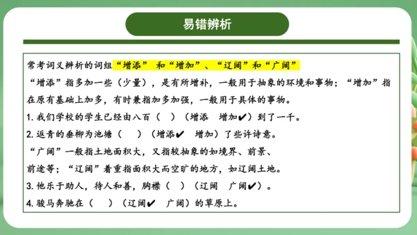 统编版2024三年级语文上册第二单元复习   课件