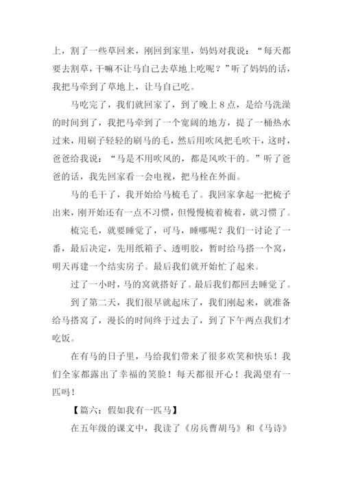 假如我有一匹马叙事600字.docx