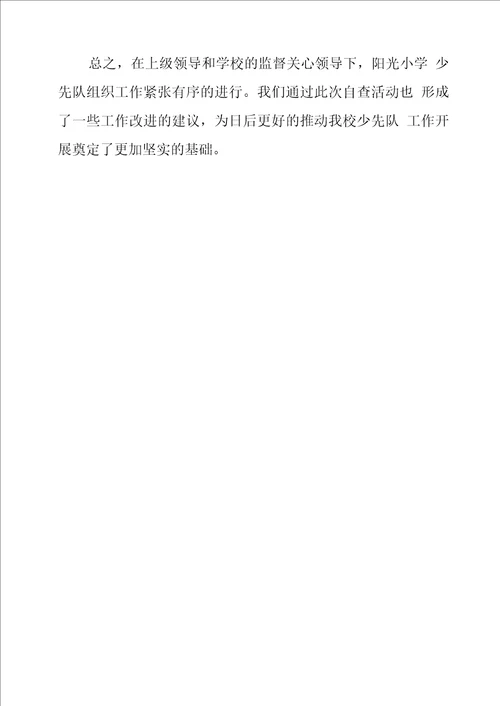 小学少先队标志标识使用情况自查报告
