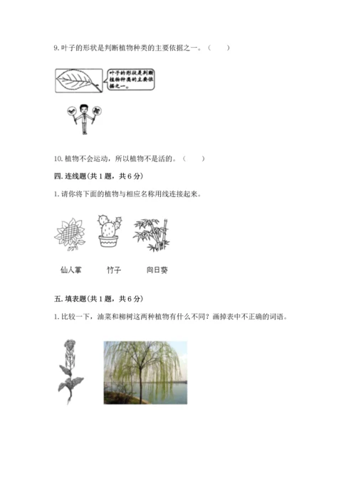 教科版一年级上册科学期末测试卷往年题考.docx