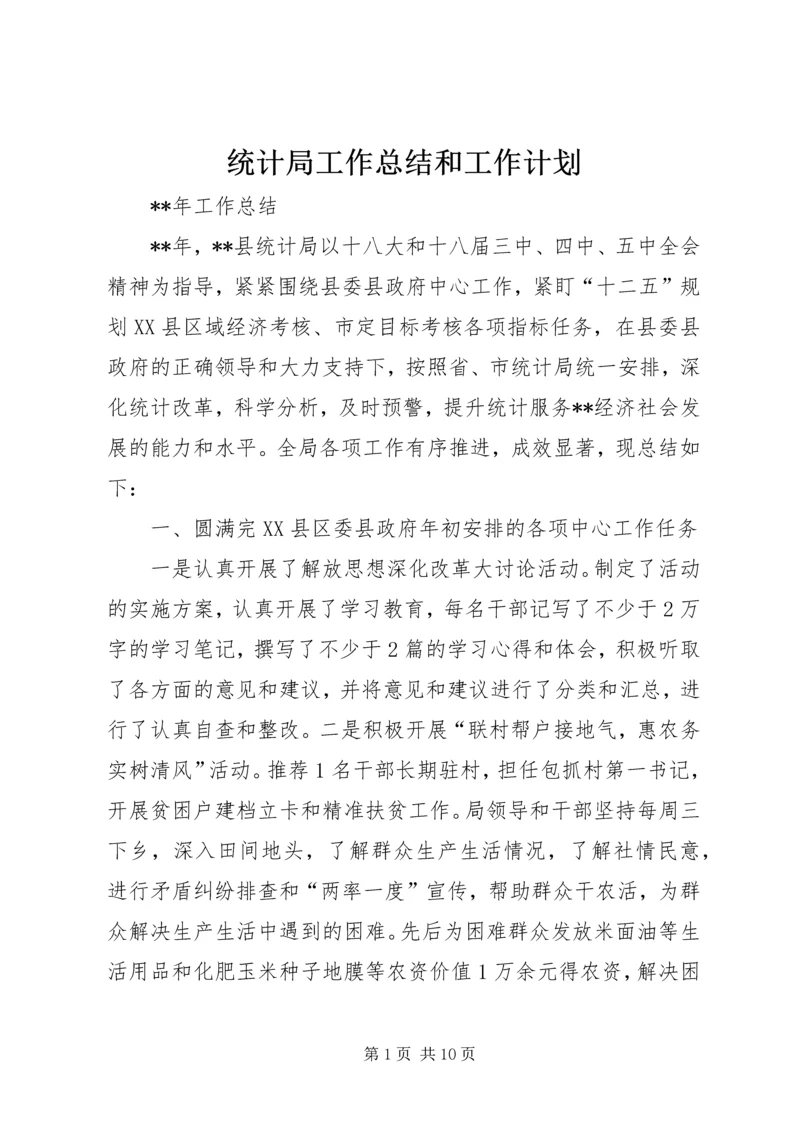 统计局工作总结和工作计划精编.docx
