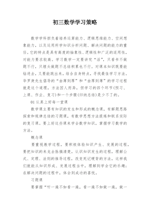初三数学学习策略.docx