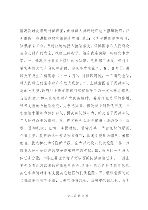 村抢险救灾方案.docx