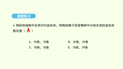 7.2.2基因在亲子代间的传递课件-人教版生物八年级下册(共29张PPT)