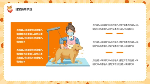 猫咪，宠物健康管理PPT模板