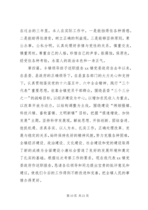 乡镇领导班子个人述职报告.docx