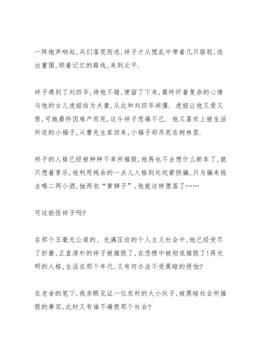 初中生骆驼祥子读书心得4篇.docx