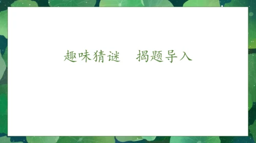 【核心素养】部编版语文一年级下册-12. 荷叶圆圆 第1课时（课件）