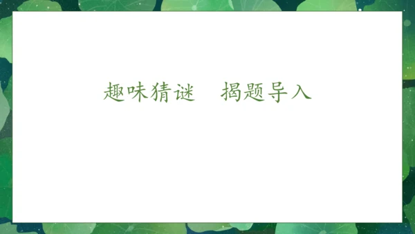 【核心素养】部编版语文一年级下册-12. 荷叶圆圆 第1课时（课件）