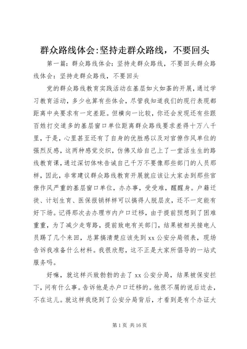 群众路线体会-坚持走群众路线，不要回头 (2).docx