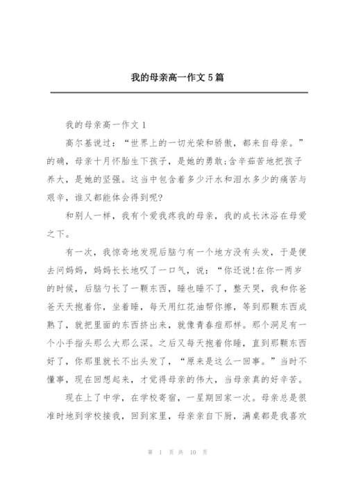 我的母亲高一作文5篇.docx