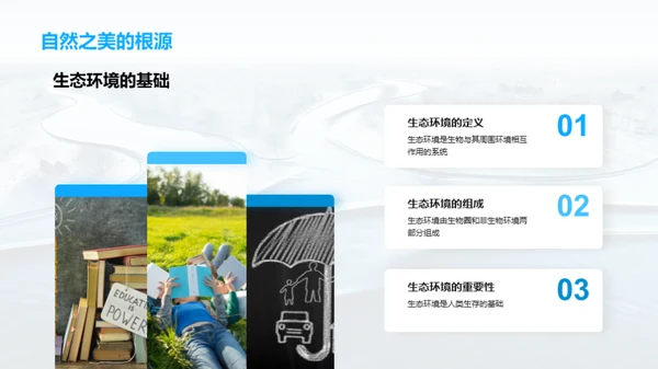 生态环境之魅力
