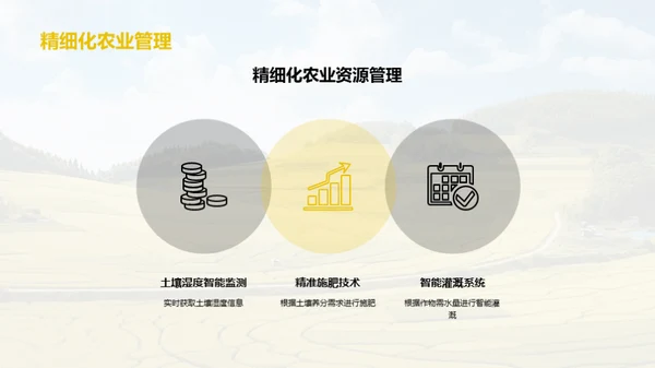 高效农业技术的应用与推广