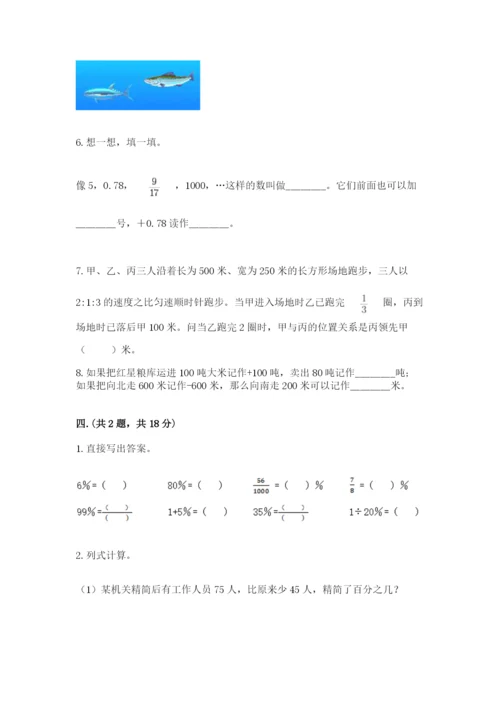 河南省平顶山市六年级下册数学期末测试卷精品（巩固）.docx