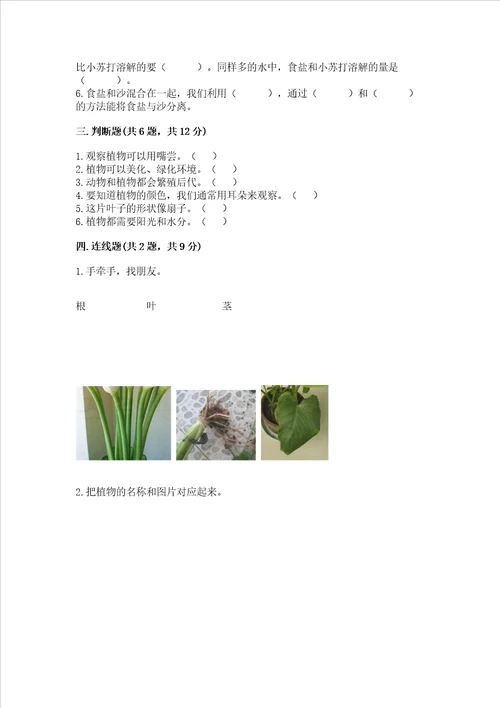 教科版科学一年级上册第一单元植物测试卷附参考答案综合卷