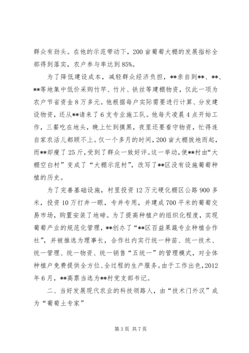 村党支部书记个人事迹材料 (4).docx