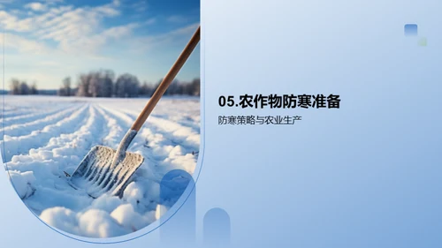 大雪季农业防寒策略