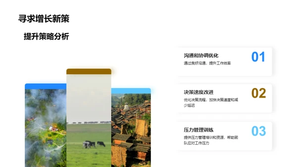 团队效能全面分析